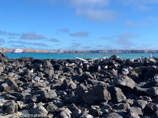 Galapagos-Natur13.jpg